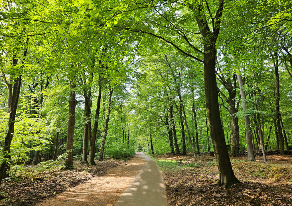 deberkhulshorst-bospad